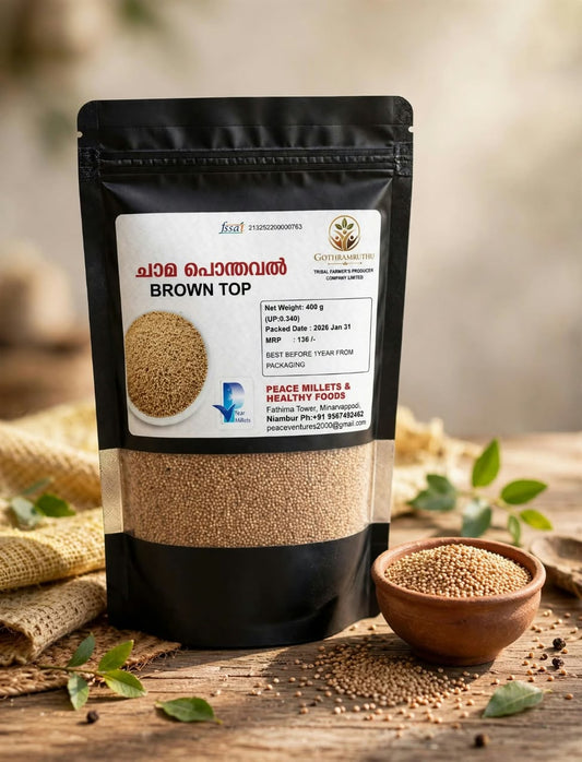 BROWN TOP