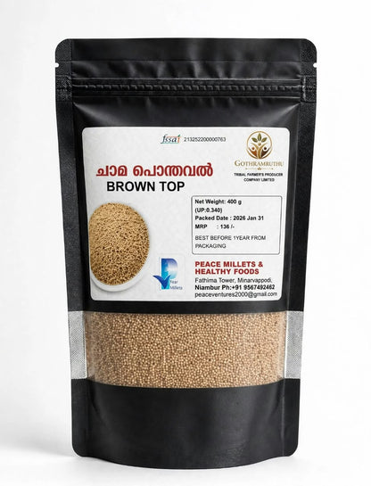 BROWN TOP