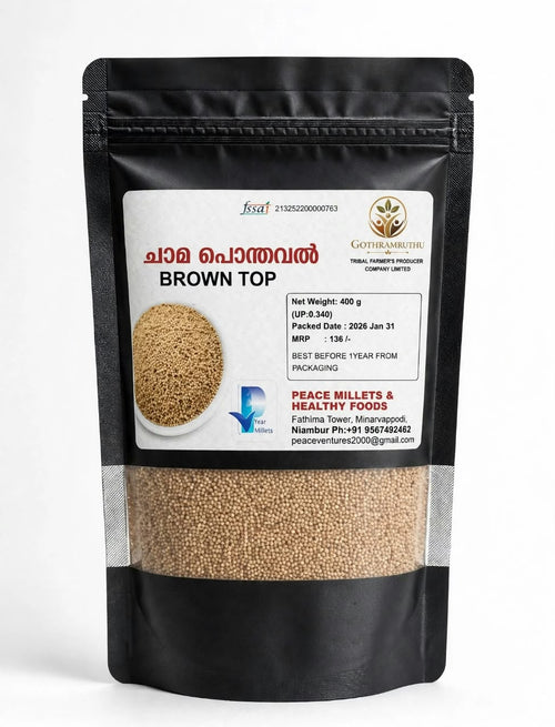 BROWN TOP